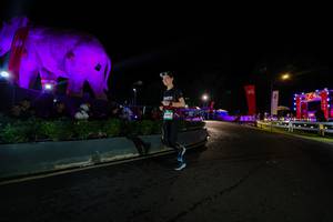 BIB: 
                            <button type="button" onclick="openModal(26552622)" class="btn btn-primary btn-sm float-right btn-popup" data-toggle="modal" data-target=".modal-high-quality">
                        <i class="fas fa-shopping-cart"></i> Add to Cart
                    </button>
                                            <button type="button" onclick="isThisMe(26552622, true)" class="btn btn-success btn-sm float-right btn-popup btn-isme hidden" data-toggle="tooltip" data-placement="bottom" title="นี่คือรูปของคุณใช่ไหม คลิกที่นี่เพื่อเอาเข้าอัลบั้ม">
                        <i class="fas fa-plus"></i> Add to album
                    </button>
                    <button type="button" onclick="isThisMe(26552622, false)" class="btn btn-warning btn-sm float-right btn-popup btn-isnotme hidden">
                        <i class="fas fa-ban"></i> Remove from album
                    </button>